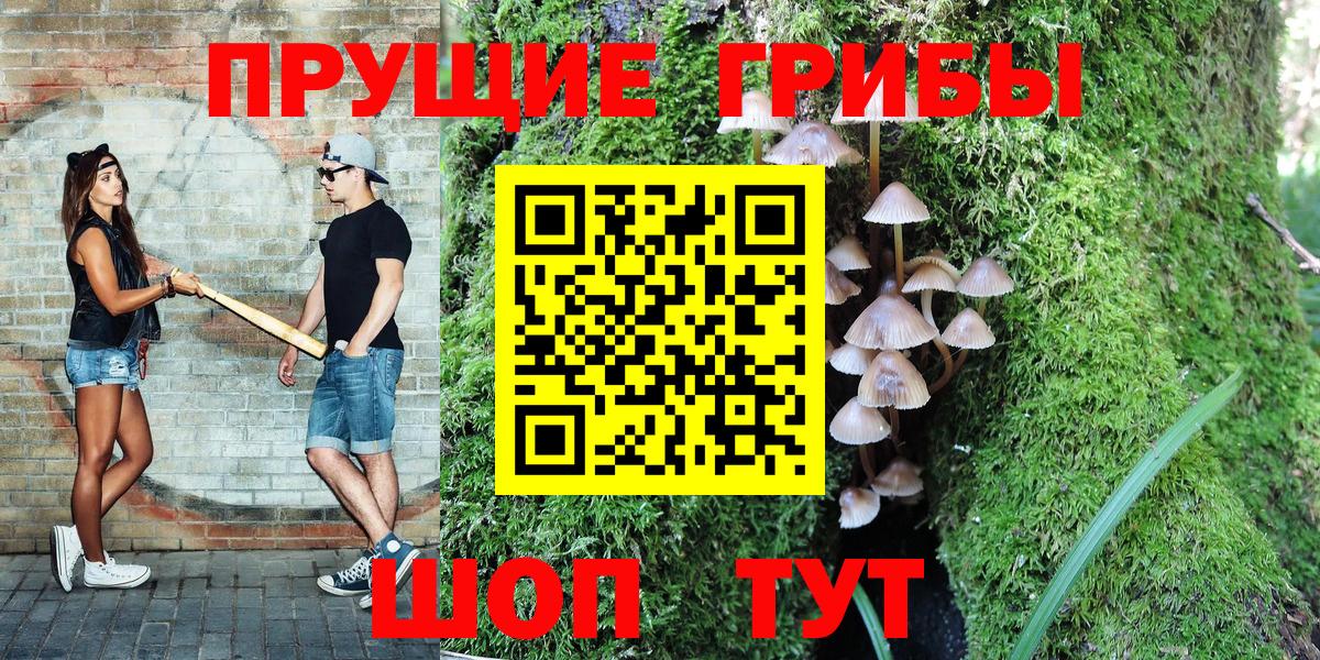 Псилоцибиновые грибы MAGIC MUSHROOMS  Галлюциногенные грибы MAGIC MUSHROOMS  Вход с VPN  Луга 